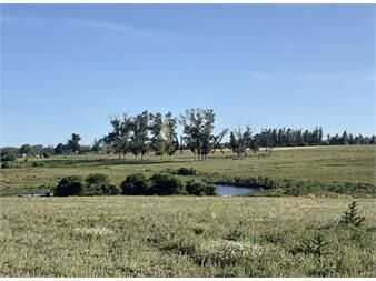 https://www.gallito.com.uy/campo-en-venta-en-inmejorable-ubicacion-inmuebles-27306879