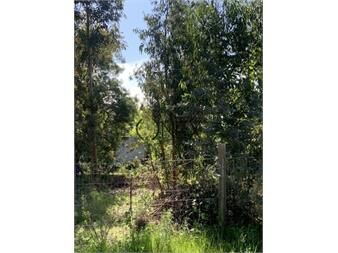 https://www.gallito.com.uy/terreno-en-venta-piriapolis-inmuebles-27307057