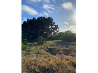 https://www.gallito.com.uy/terreno-en-venta-–-arenas-de-jose-ignacio-inmuebles-27674197