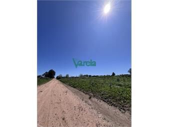 https://www.gallito.com.uy/terrenos-financiados-en-venta-barros-blancos-inmuebles-27484845