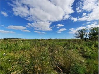 https://www.gallito.com.uy/terreno-de-776m2-en-venta-en-pando-inmuebles-24245675