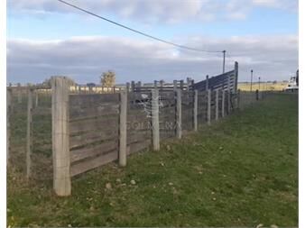 https://www.gallito.com.uy/campo-10-has-4336-m2-en-corte-la-leña-inmuebles-27392689