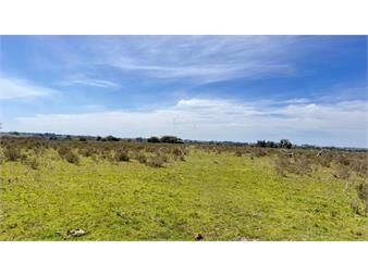 https://www.gallito.com.uy/10-chacras-bien-ubicadas-cerca-de-ruta-9-y-camino-inmuebles-27679577