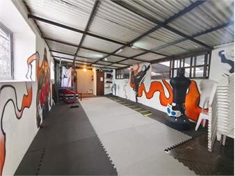 https://www.gallito.com.uy/local-comercial-o-deposito-goes-sobre-avenida-inmuebles-27683164