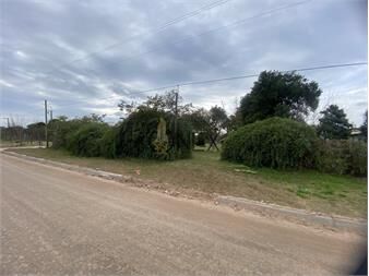 https://www.gallito.com.uy/gran-terreno-en-venta-nuevo-paysandu-inmuebles-27683918