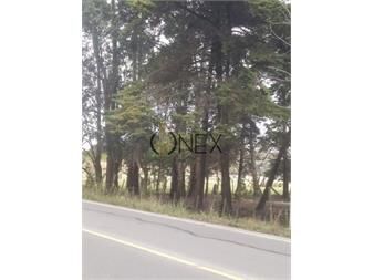 https://www.gallito.com.uy/terreno-en-venta-ultimo-lote-proximo-a-car-one-inmuebles-27687509