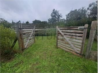 https://www.gallito.com.uy/terreno-533m²-inmuebles-26386450
