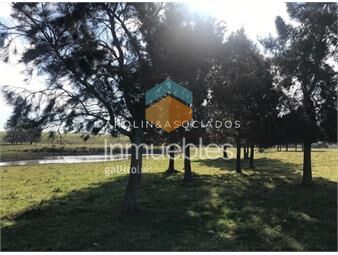 https://www.gallito.com.uy/chacra-con-muy-linda-vista-inmuebles-17853229