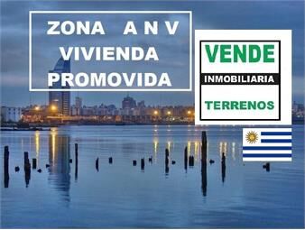 https://www.gallito.com.uy/zona-a-n-v-cordon-sur-11-x-33-=-333-alt-27-mts-galibo-inmuebles-26426752