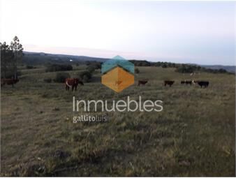 https://www.gallito.com.uy/campo-de-41-has-con-2539-m2-cerca-de-pueblo-eden-consulte-inmuebles-20101226