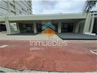 https://www.gallito.com.uy/local-en-peninsula-inmuebles-17399935