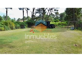 https://www.gallito.com.uy/venta-terreno-contenedor-en-playa-chihuahua-1100-m2-inmuebles-22312169