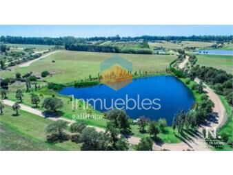 https://www.gallito.com.uy/terreno-de-6-978-m2-en-laguna-estates-inmuebles-24487242