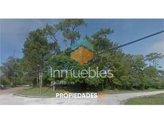 https://www.gallito.com.uy/terreno-en-san-rafael-1000-mts-inmuebles-24582295