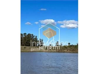 https://www.gallito.com.uy/venta-campo-26-hectãreas-en-paso-del-medio-canelones-inmuebles-24614716