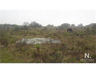 https://www.gallito.com.uy/campo-ganadero-en-venta-en-aigua-inmuebles-24745226