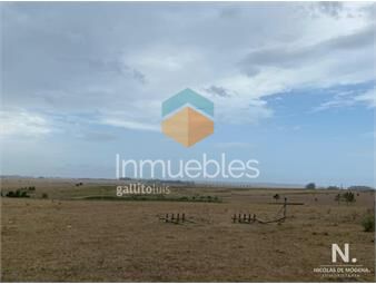 https://www.gallito.com.uy/venta-de-chacra-en-rincon-de-jose-ignacio-5-hectareas-inmuebles-24987677