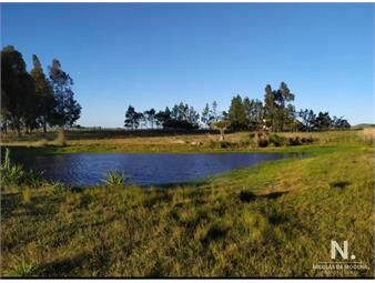 https://www.gallito.com.uy/campo-de-5-hectareas-en-venta-inmuebles-25034367