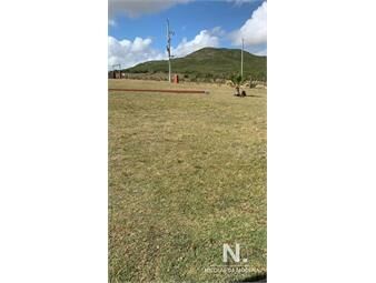 https://www.gallito.com.uy/chacra-en-ruta-39-inmuebles-25034567