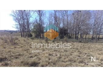 https://www.gallito.com.uy/chacra-en-venta-de-10-hectareas-minas-lavalleja-inmuebles-24988094