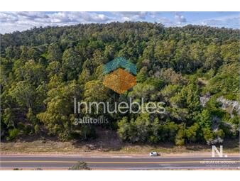 https://www.gallito.com.uy/chacra-en-laguna-del-sauce-punta-ballena-inmuebles-25042281