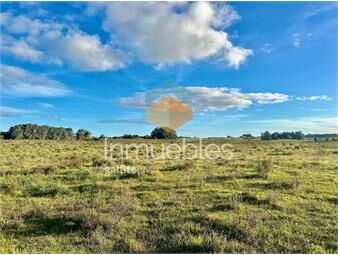 https://www.gallito.com.uy/venta-de-chacra-5-hectareas-en-anastasio-jose-ignacio-inmuebles-25611765