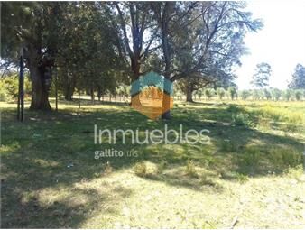 https://www.gallito.com.uy/chacra-medellin-4-inmuebles-25282501