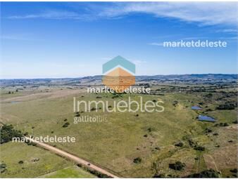 https://www.gallito.com.uy/chacra-zona-mataojo-inmuebles-25553742