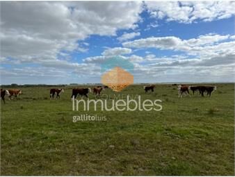 https://www.gallito.com.uy/campo-en-el-departamento-de-lavalleja-inmuebles-23665680