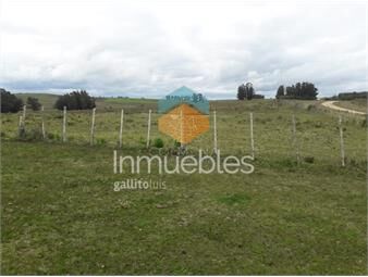 https://www.gallito.com.uy/campo-de-21-has-con-6010-m2-en-paraje-jose-ignacio-inmuebles-22910062