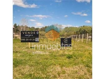 https://www.gallito.com.uy/espectacular-terreno-456-m2-piriapolis-barrio-tierra-c-inmuebles-26386313