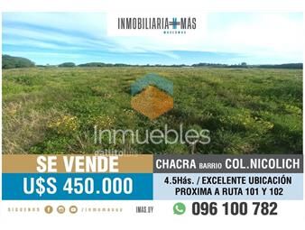 https://www.gallito.com.uy/chacra-en-venta-45has-colonia-nicolich-ruta-101-y-102-g-inmuebles-26162758