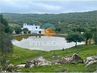 https://www.gallito.com.uy/campo-en-venta-a-los-pies-del-cerro-catedral-aigua-inmuebles-25381494
