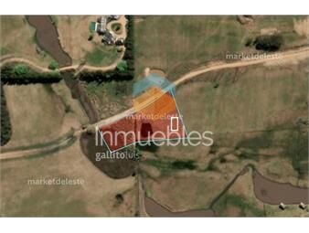 https://www.gallito.com.uy/plantaciones-11-ha-inmuebles-26928042