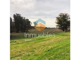 https://www.gallito.com.uy/chacra-de-5-5-hectareas-a-13-kms-de-pueblo-eden-inmuebles-27043004
