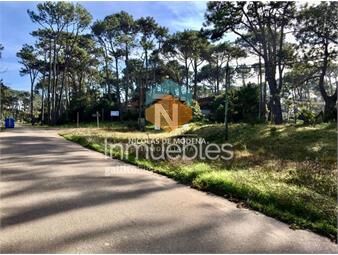 https://www.gallito.com.uy/gran-terreno-en-venta-ubicado-en-san-rafael-es-la-oportuni-inmuebles-25042801