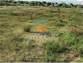 https://www.gallito.com.uy/venta-terreno-cerro-28000-mts-inmuebles-24863460