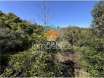 https://www.gallito.com.uy/venta-terreno-las-cumbres-punta-ballena-punta-del-este-re-inmuebles-26269882