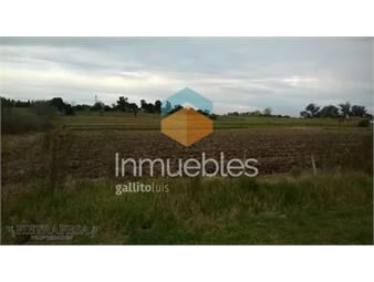 https://www.gallito.com.uy/campo-en-venta-paso-de-la-arena-inmuebles-24713251