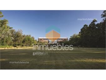 https://www.gallito.com.uy/chacra-rincon-del-indio-inmuebles-26059509