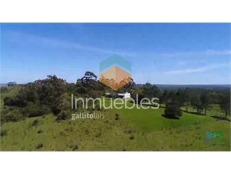 https://www.gallito.com.uy/campo-ganadero-y-recreo-en-garzon-116-has-con-casa-inmuebles-23475960