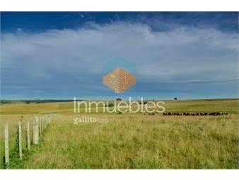 https://www.gallito.com.uy/campo-en-rio-negro-inmuebles-27125653