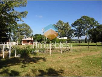 https://www.gallito.com.uy/1-riachuelo-10-has-ruta-1-inmuebles-27155718
