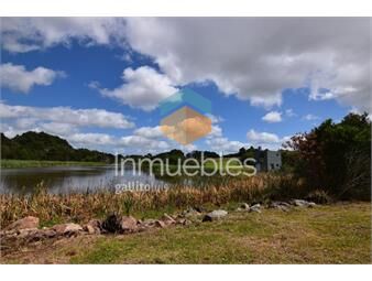 https://www.gallito.com.uy/tajamares-de-la-pedrera-lote-con-exclente-vista-panoramic-inmuebles-27156309