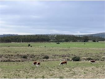 https://www.gallito.com.uy/campo-de-22-has-6862-m2-cerca-de-punta-del-este-inmuebles-25155165