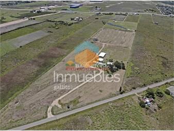 https://www.gallito.com.uy/chacra-8has-en-cuatro-piedras-casa-principal-de-inmuebles-22126671