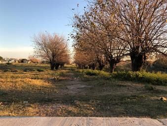 https://web5.gallito.com.uy/venta-de-terreno-en-paso-de-la-arena-inmuebles-27610770