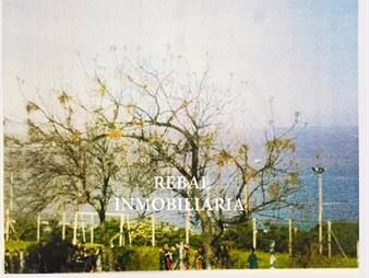 https://web5.gallito.com.uy/frente-al-mar-para-2-bloques-con-vistas-mar-oport-inmuebles-12516815