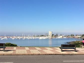 https://www.gallito.com.uy/monoambiente-alquiler-temporario-o-mes-en-puerto-de-buceo-inmuebles-27406874