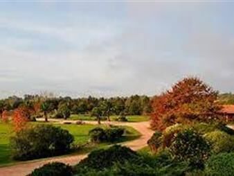 https://web5.gallito.com.uy/oportunidad-vta-parcela-en-parque-del-recuerdo-interbal-inmuebles-20745201